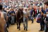 Palio Straordinario: la gallery della prima e della seconda prova